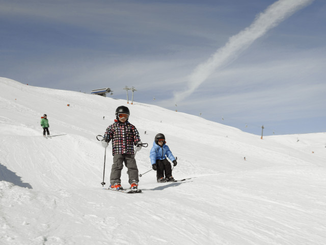 Stefflhof in Saalfelden