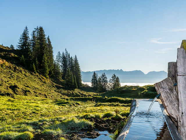 Stefflhof in Saalfelden