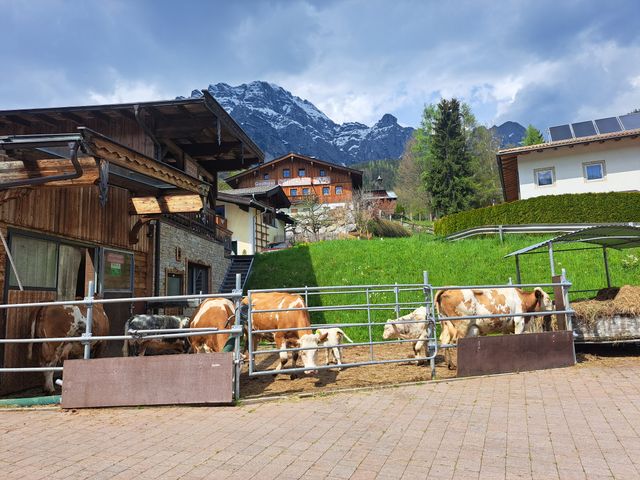Appartements Leogang