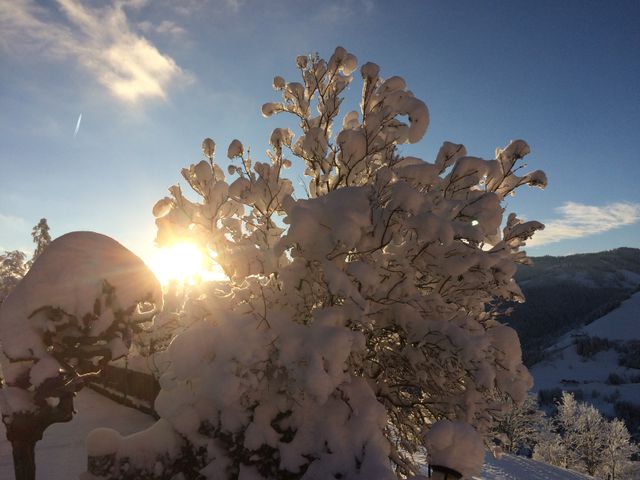 Erlebnisbauernhof Formaugut