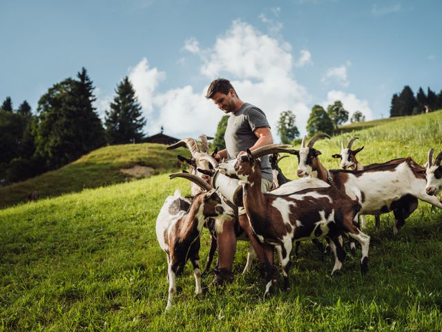 Almhütte Mitterstall